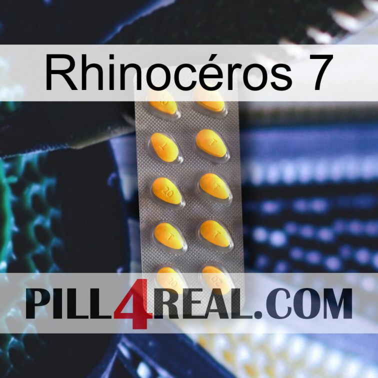 Rhinocéros 7 cialis1